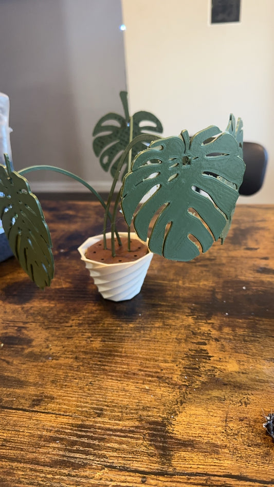 3d printed Monstera coaster set