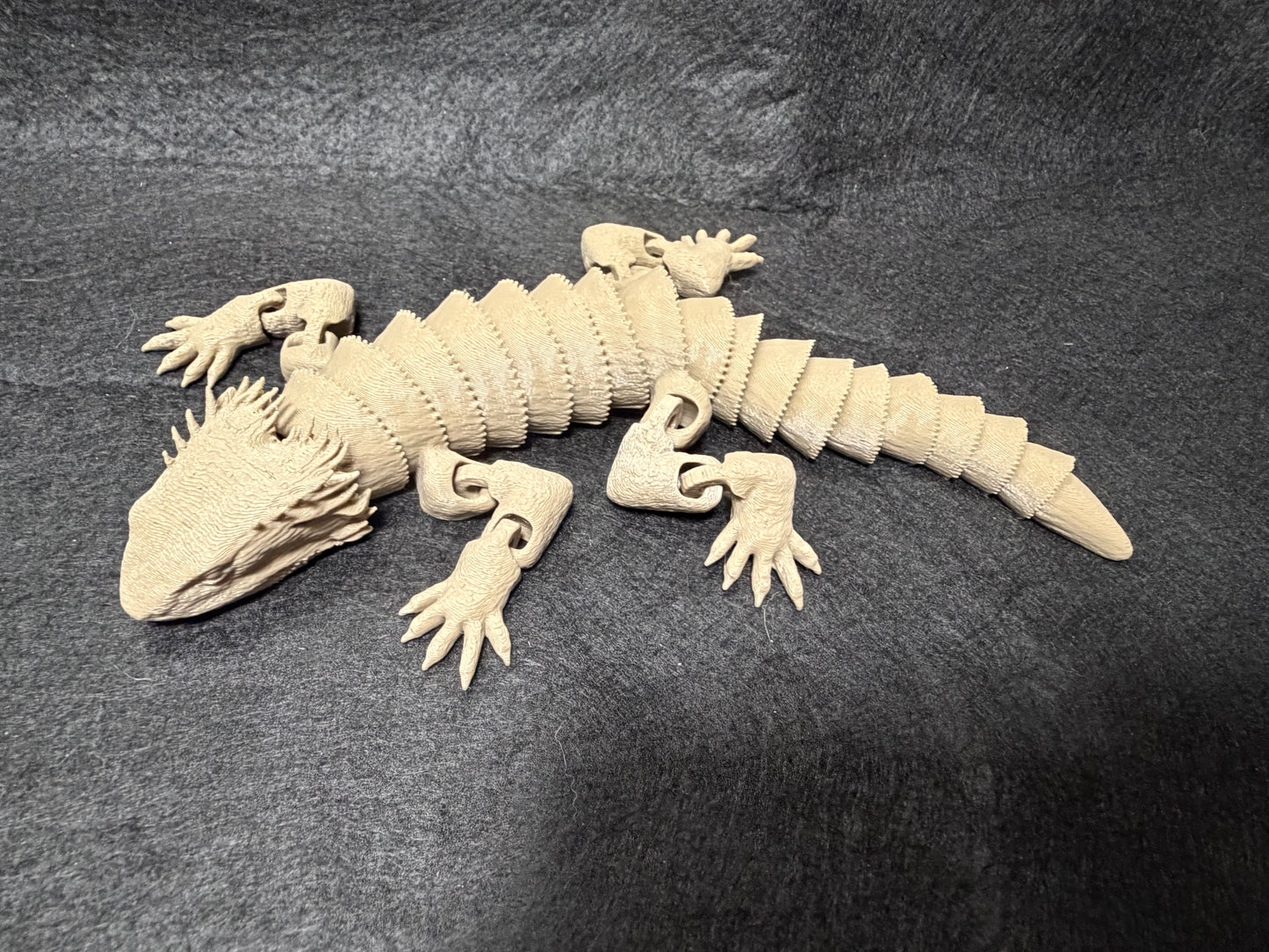 Bearded dragon